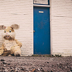 云呼试用三分钟