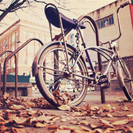 求助手机号群发平台